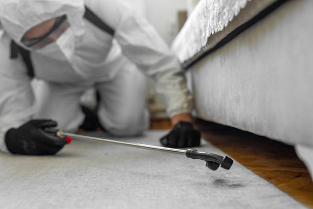 Professional Cockroach Control technician working in Northbrook, OH
